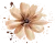 flower-mocha-mousse-icon